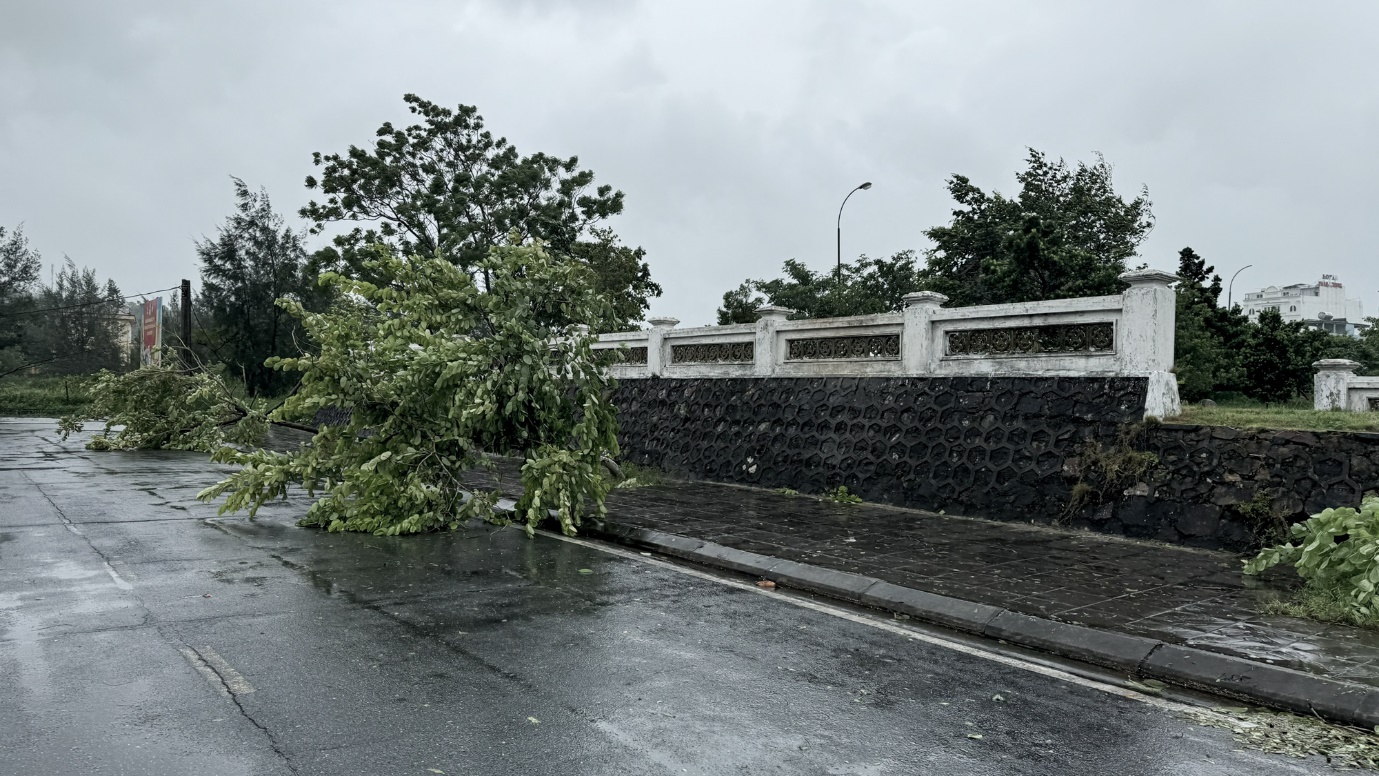 Bão số 2 đổ bộ vào Quảng Ninh, đảo Cô Tô có sóng lớn gió giật cấp 9 - 6