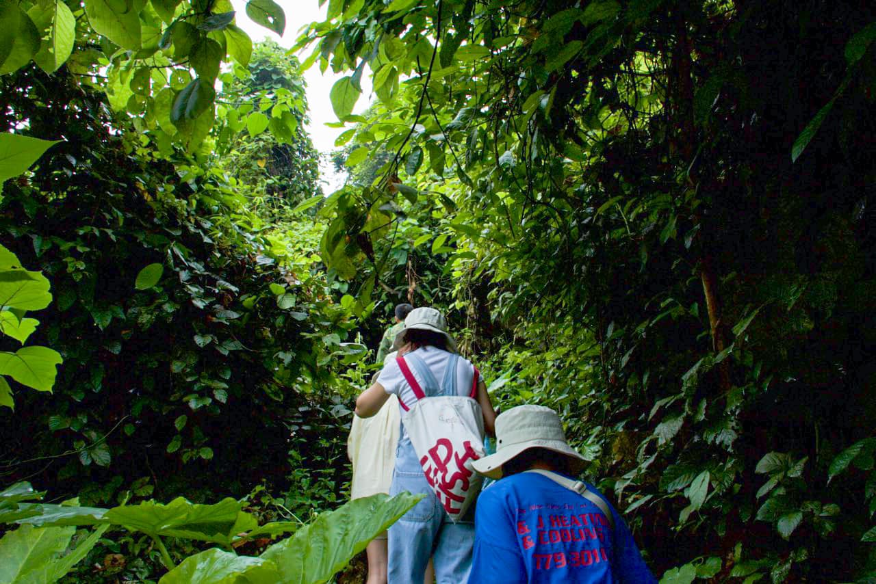 Kinh nghiệm đi Đồng Lâm và trekking Khe Dầu khi gặp nước lên - 6