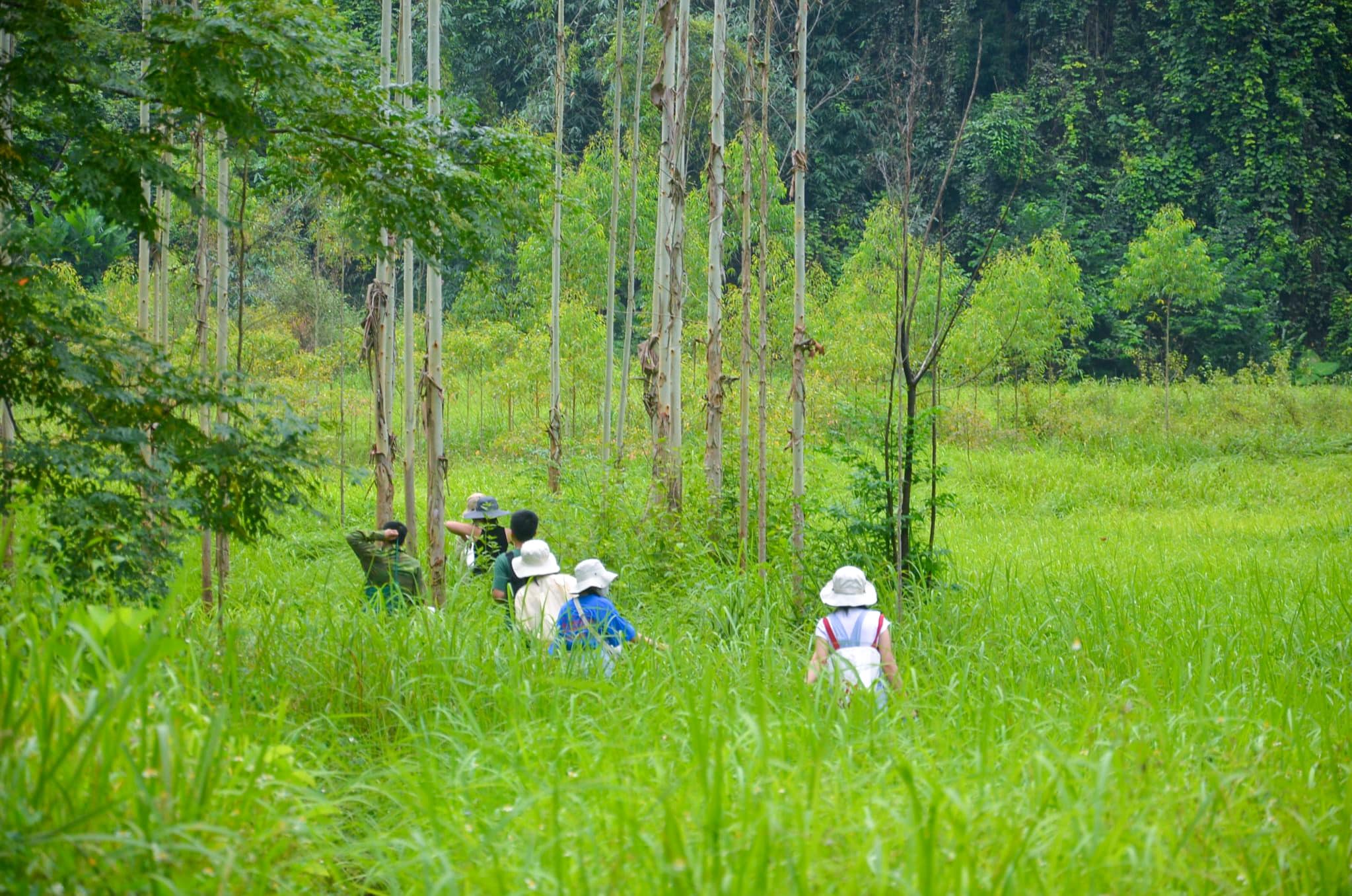 Kinh nghiệm đi Đồng Lâm và trekking Khe Dầu khi gặp nước lên - 1