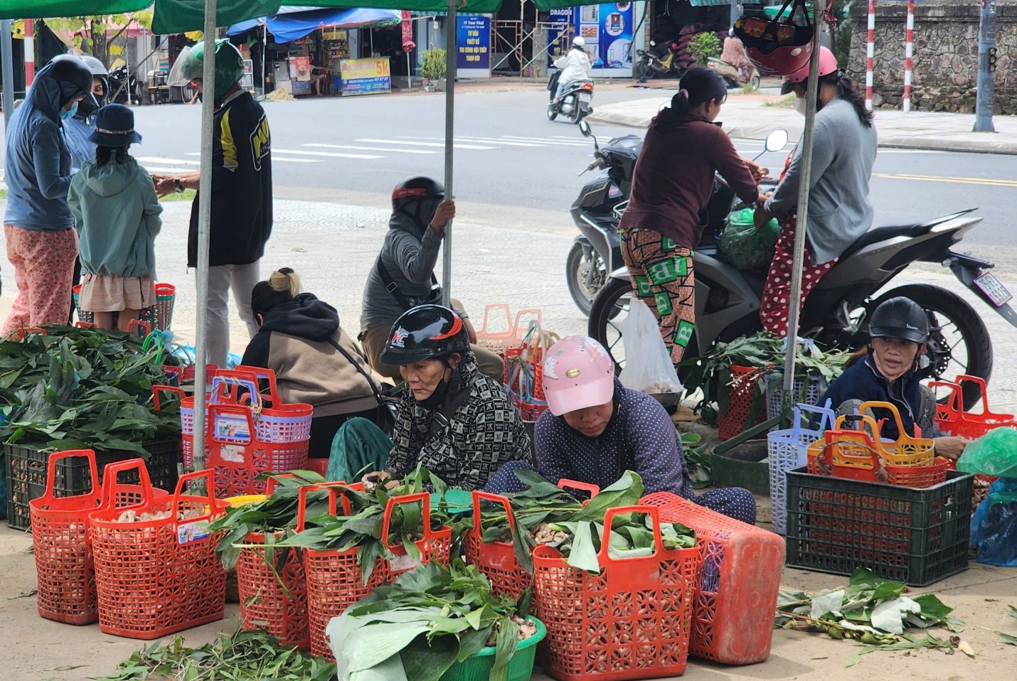 Vào mùa nấm 'trời ban' ở xứ Huế - 7