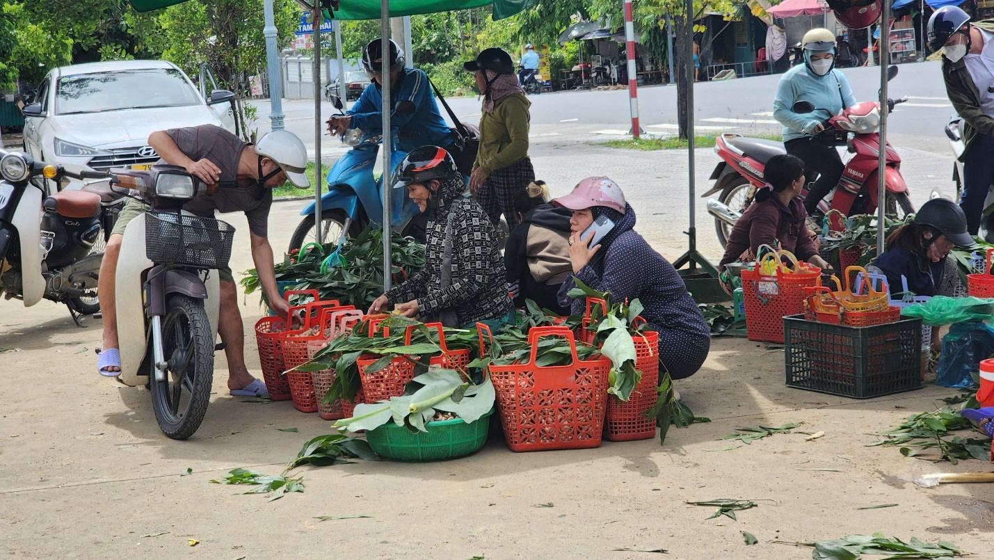 Vào mùa nấm 'trời ban' ở xứ Huế - 6