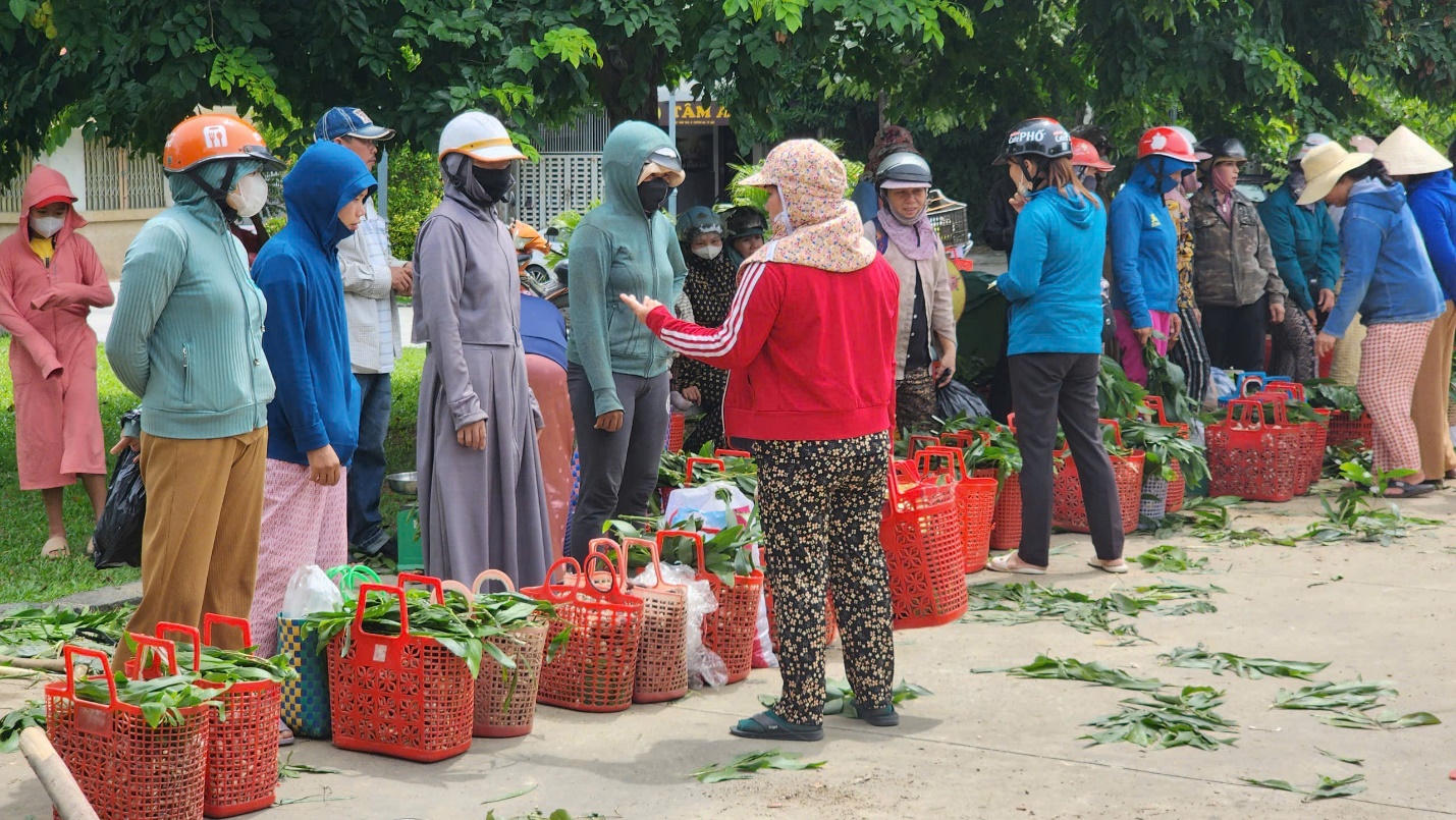 Vào mùa nấm 'trời ban' ở xứ Huế - 3