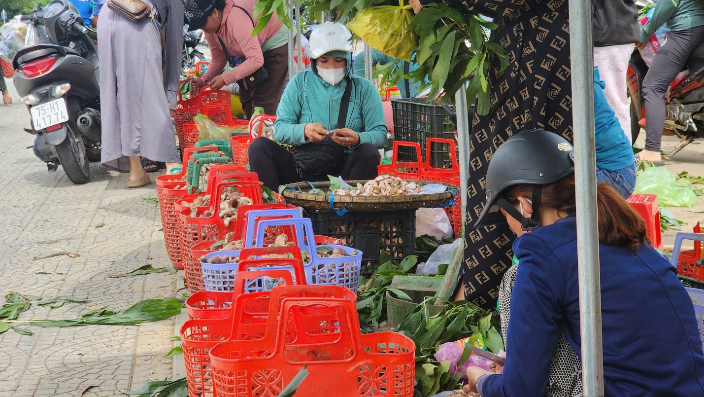 Vào mùa nấm 'trời ban' ở xứ Huế - 13