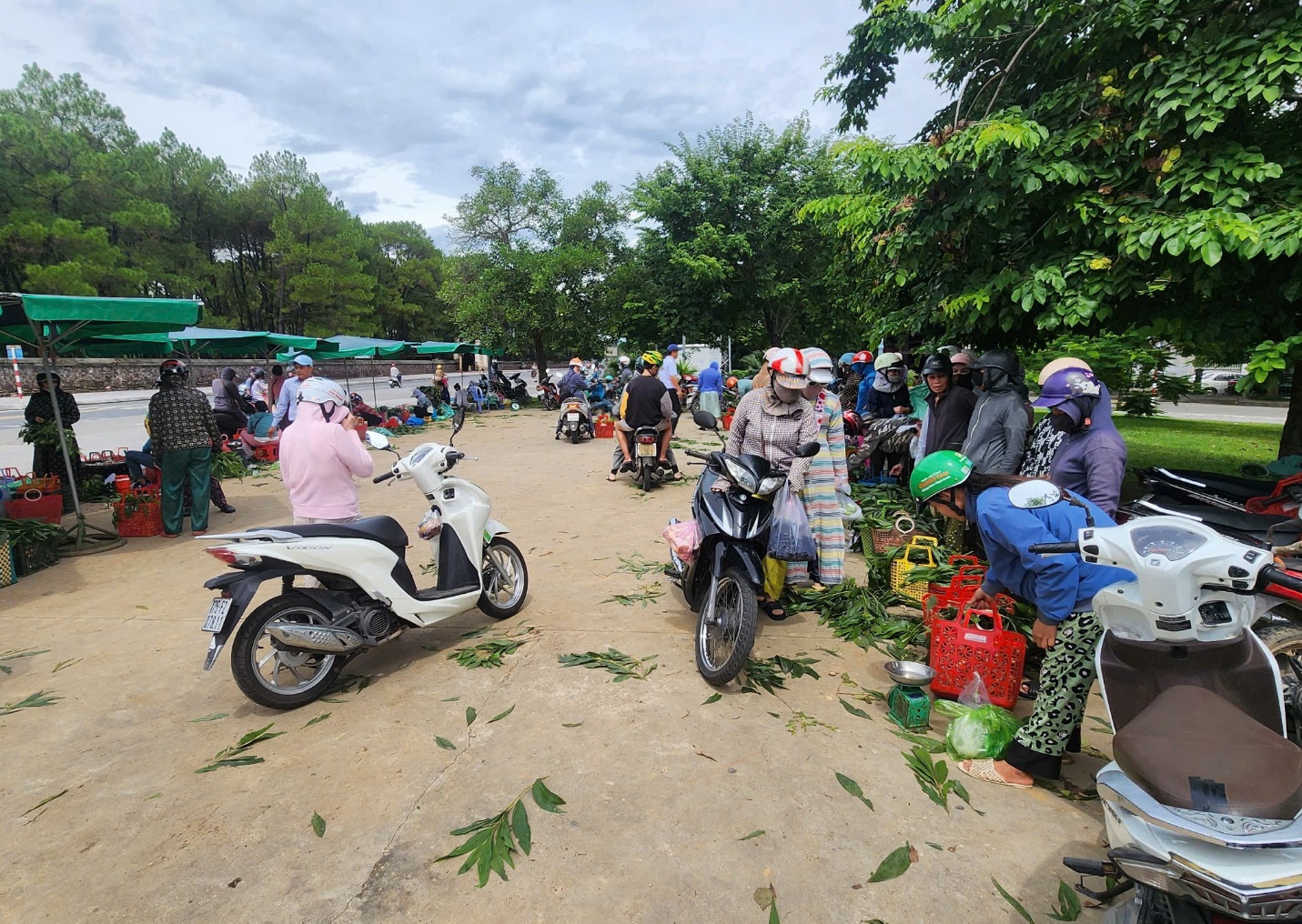 Vào mùa nấm 'trời ban' ở xứ Huế - 14