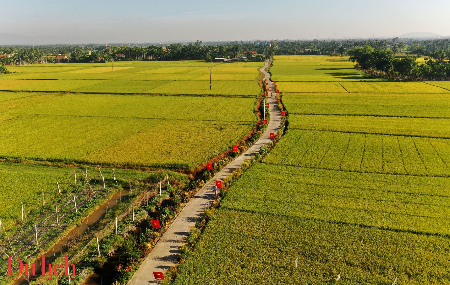 ve dep lang man cua duong hoa nghia trung o quang ngai - 1