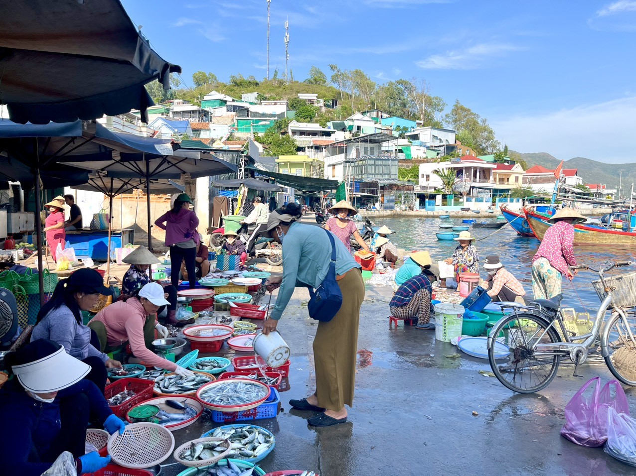 Khám phá vẻ đẹp bình dị của đảo Trí Nguyên - 1