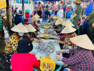 Buổi sáng nhộn nhịp của ngư dân cảng Cửa Bé, Khánh Hoà