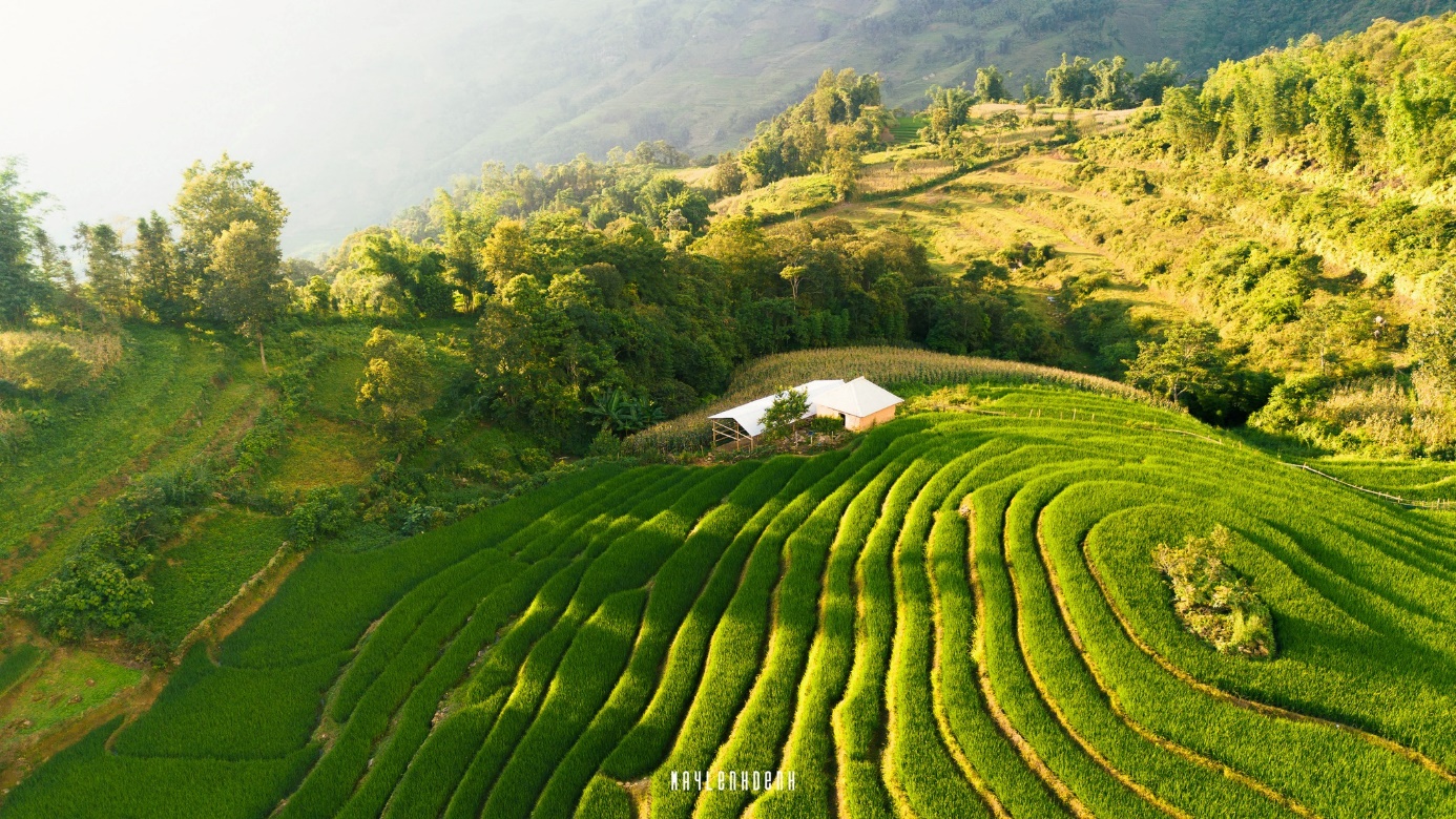 Kinh nghiệm đi Y Tý săn vẻ đẹp siêu thực chỉ với 1,5 triệu đồng - 10