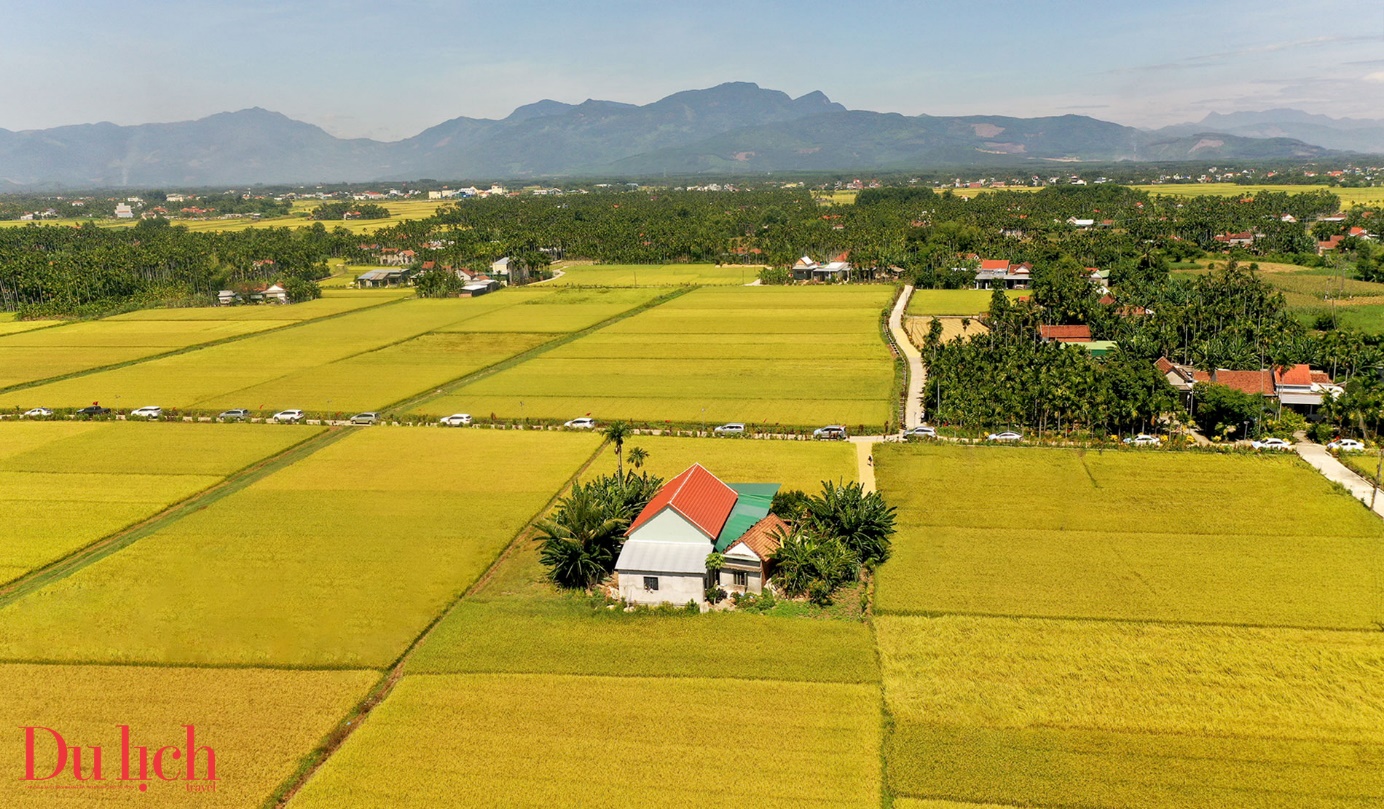 hang chuc o to dua du khach tham quan tuyen duong hoa giua mua lua chin - 9