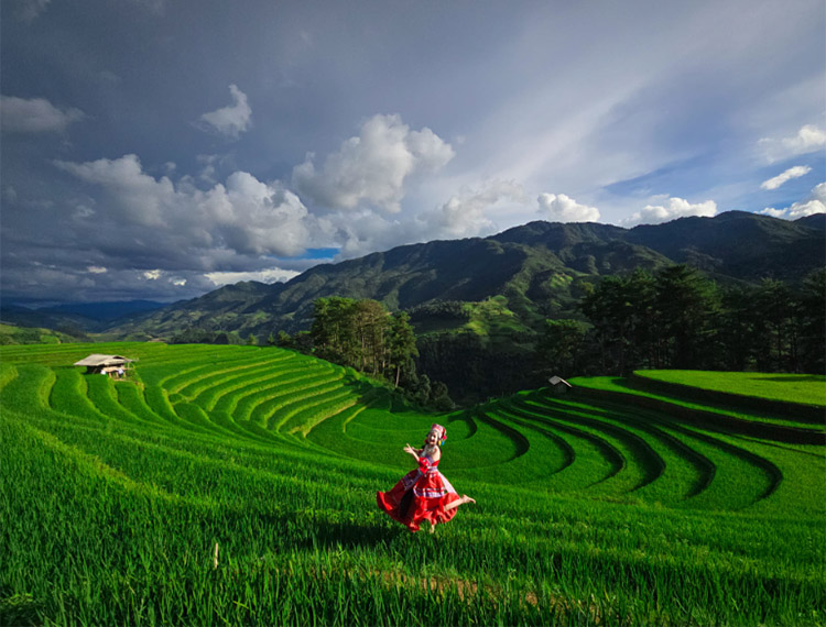 Ảnh thiếu nữ ở đồi móng ngựa khiến chị em muốn lên ngay Mù Cang Chải