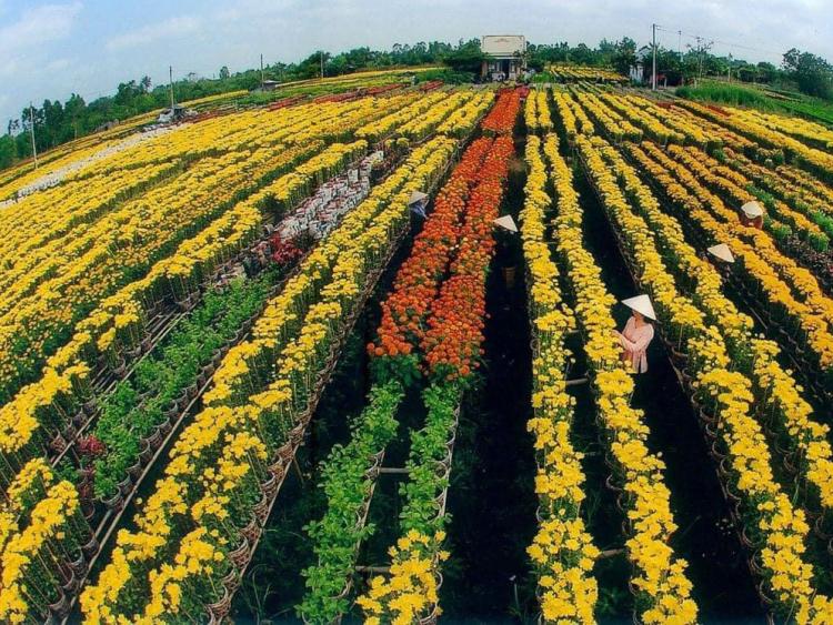 Vi vu Đồng Tháp trải nghiệm những làng nghề truyền thống lâu đời