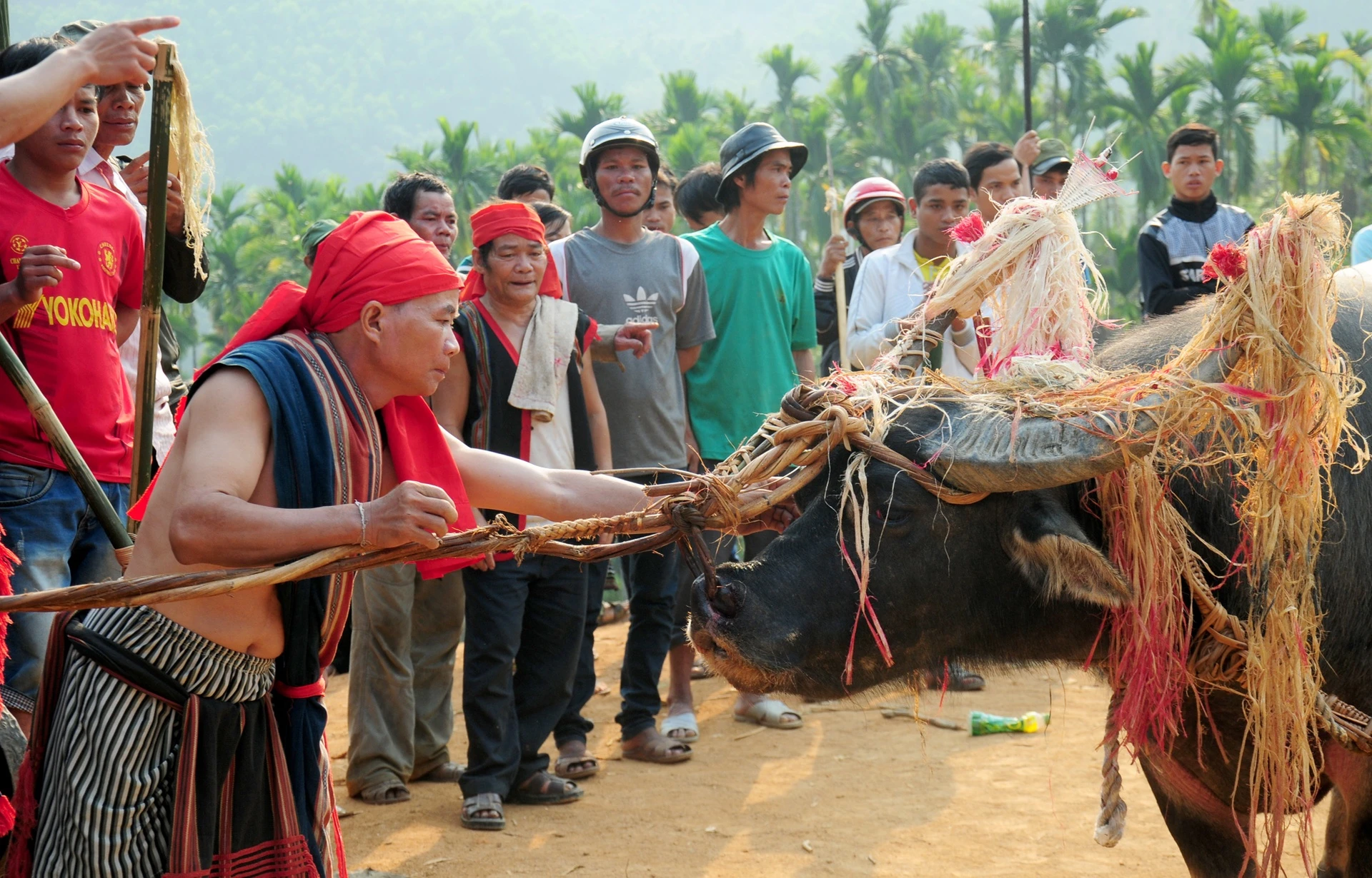 Tìm giải pháp bảo tồn văn hóa, văn nghệ dân gian các dân tộc miền núi Nam Trung Bộ - 10