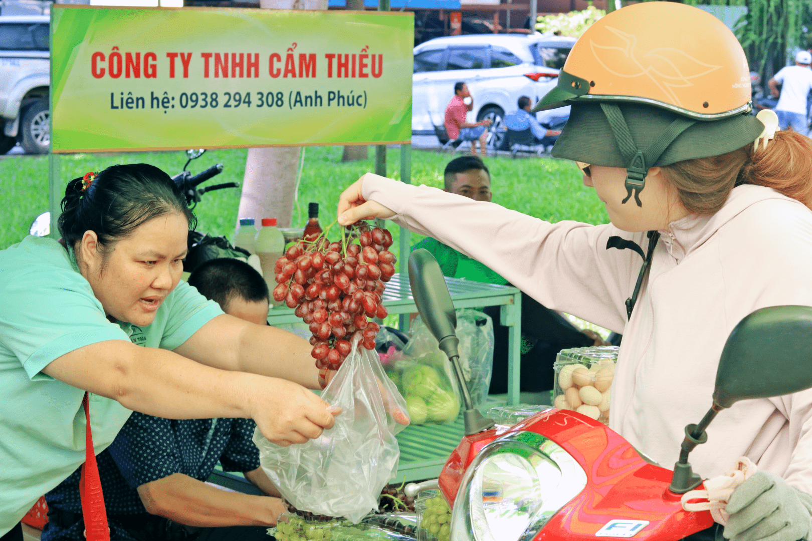 diem hen cuoi tuan cho nhung nguoi yeu rau sach - 9