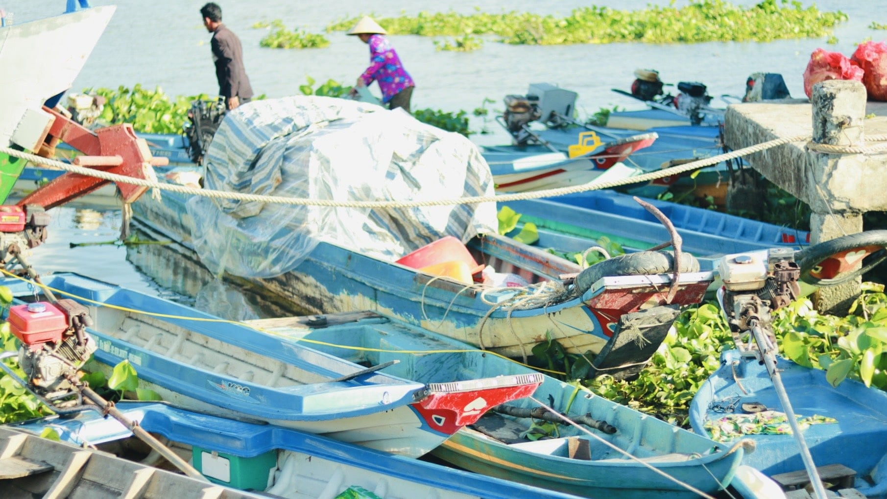 Chợ phiên “Chủ nhật” ở Kiên Giang – Nét đẹp mộc mạc của vùng đất Tây Nam Bộ - 2