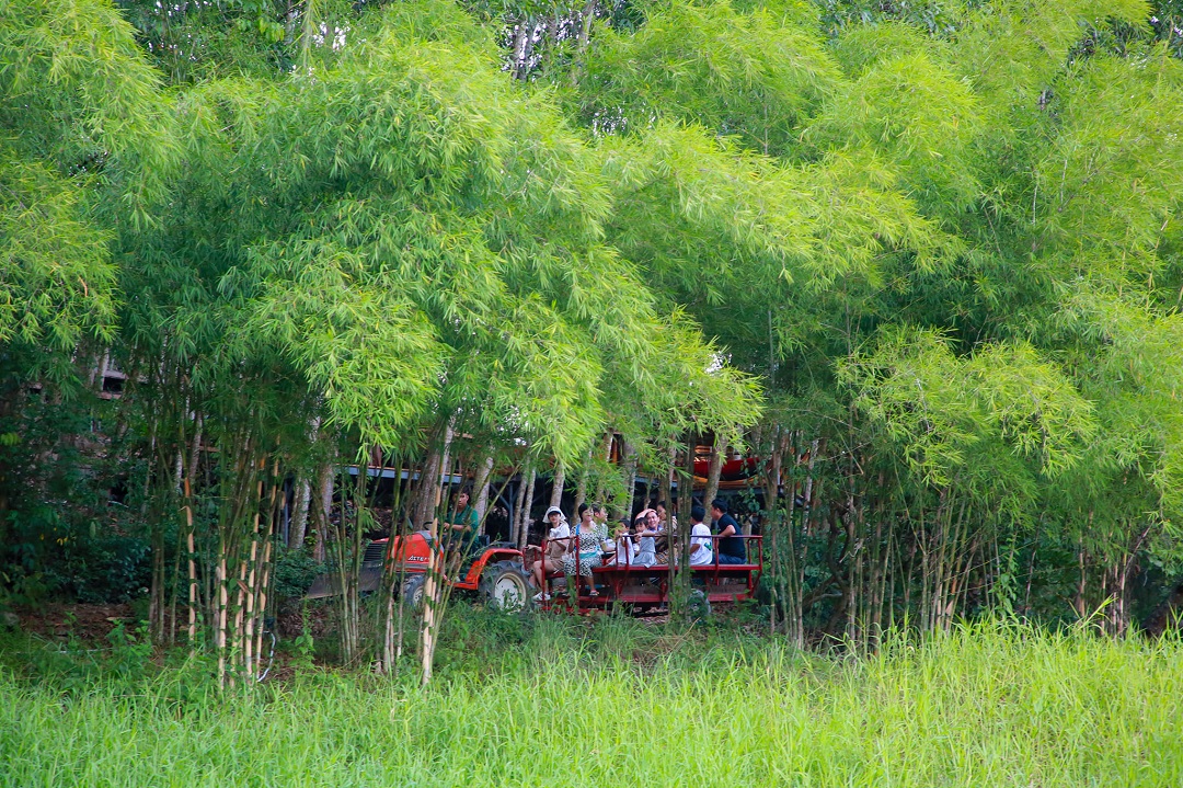 Lễ Quốc khánh 2/9: Tới Làng Nhỏ, đắm chìm trong vẻ đẹp nguyên sơ của núi rừng - 2