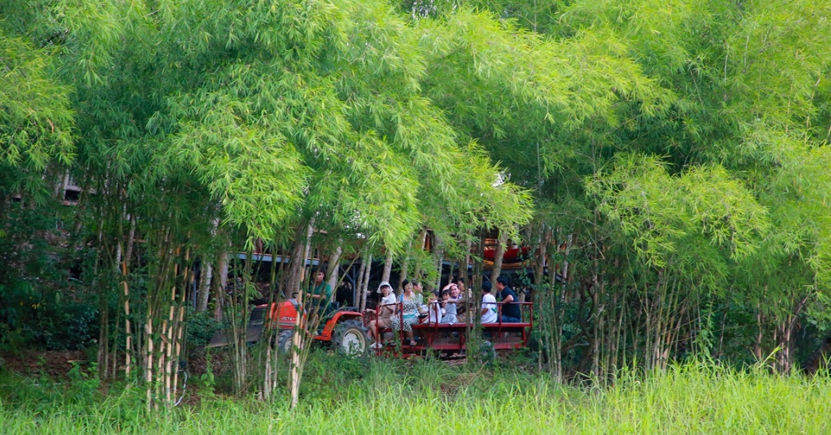 Lễ Quốc khánh 2/9: Tới Làng Nhỏ, đắm chìm trong vẻ đẹp nguyên sơ của núi rừng