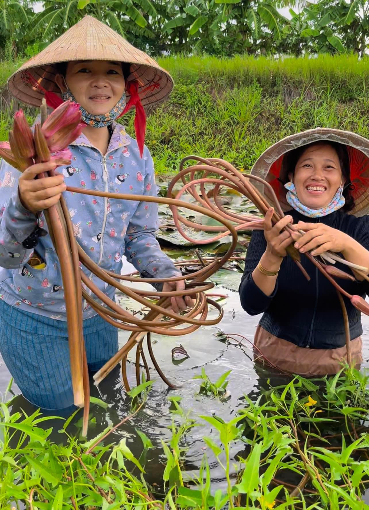 Hai cô nông dân triệu view trên Tiktok: Biến mồ hôi thành nội dung số, tăng thu nhập từ sản vật quê hương - 1