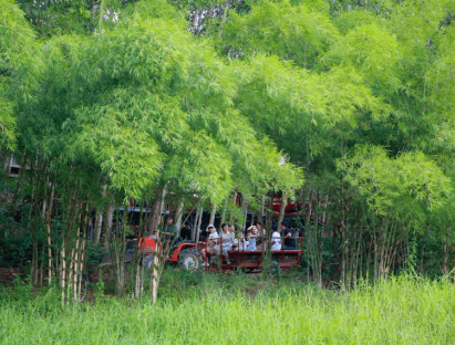 Du khảo - Lễ Quốc khánh 2/9: Tới Làng Nhỏ, đắm chìm trong vẻ đẹp nguyên sơ của núi rừng