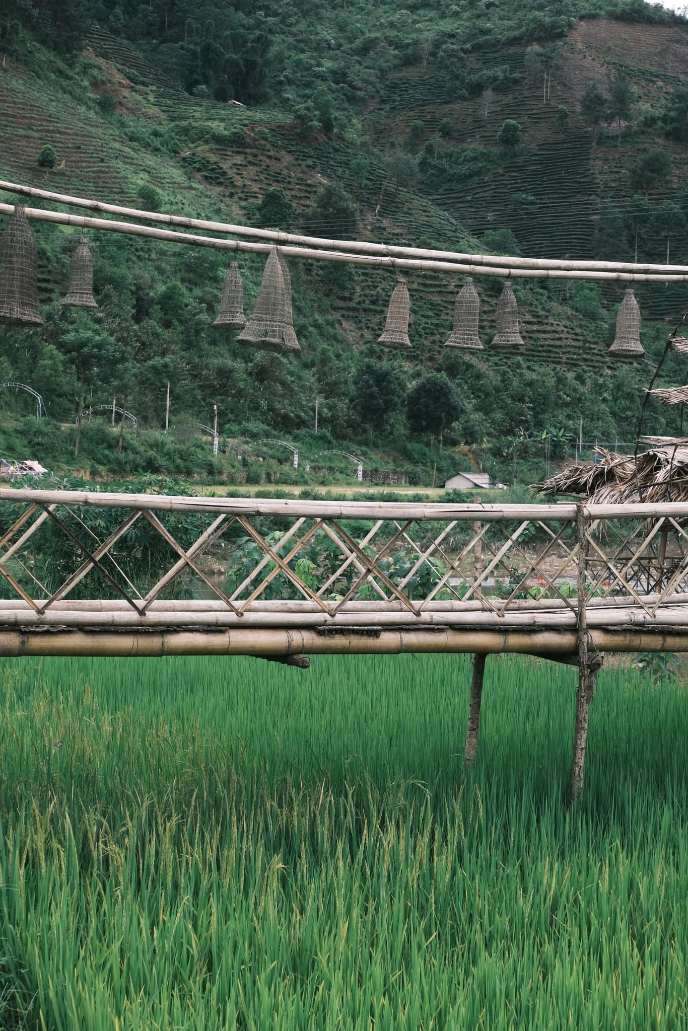 Dừng chân ‘chữa lành’ bên bản làng nhỏ xinh - 9