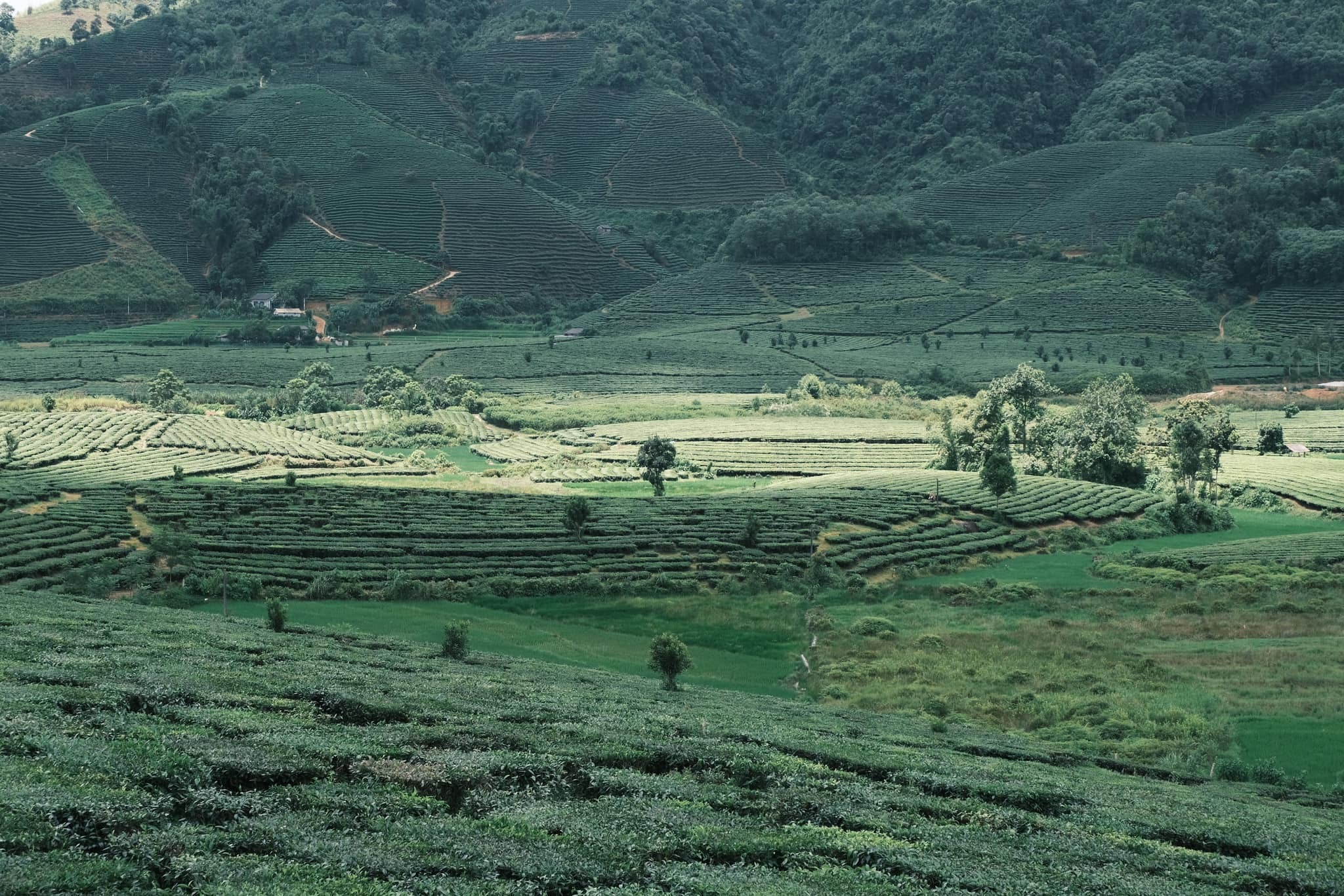 Dừng chân ‘chữa lành’ bên bản làng nhỏ xinh - 3