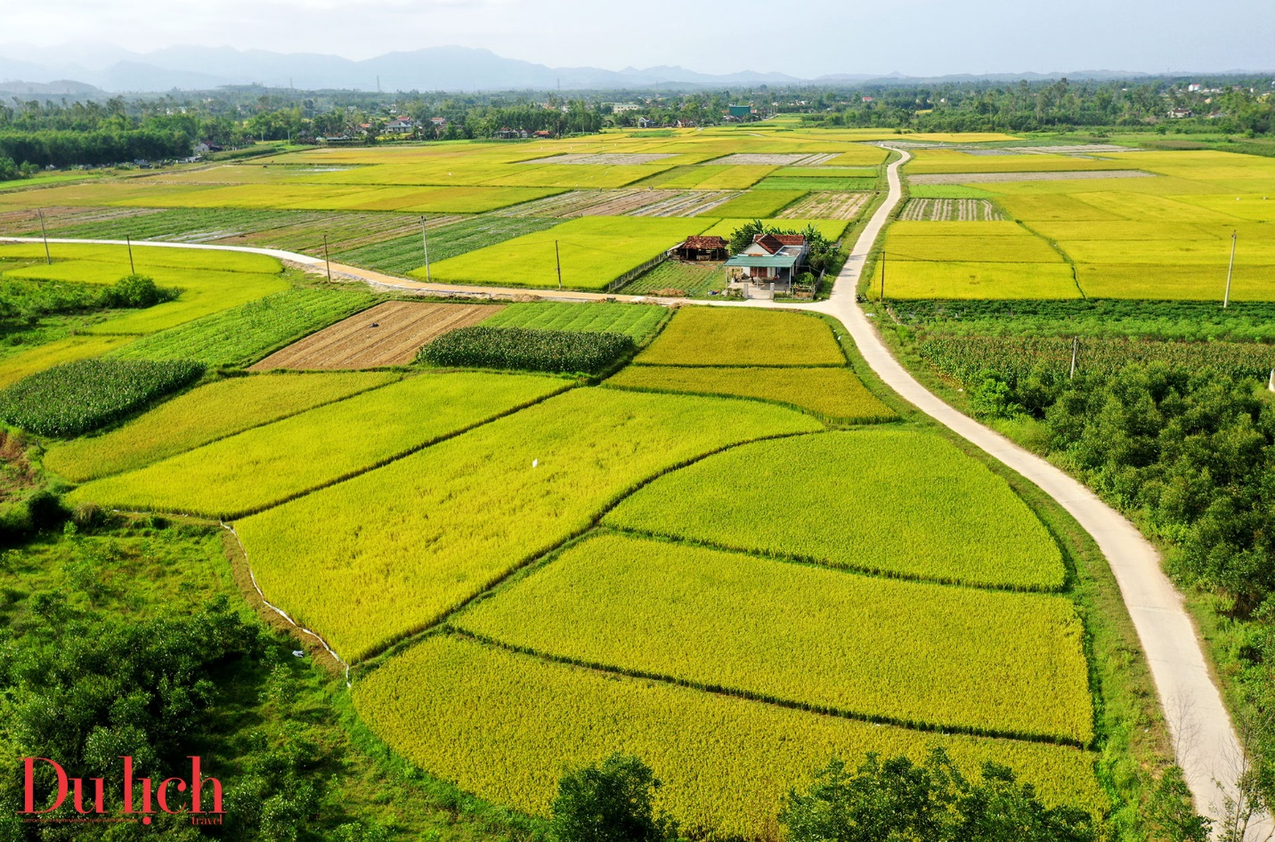 mua thu vang me hoac du khach tren canh dong lua chin mien trung - 12