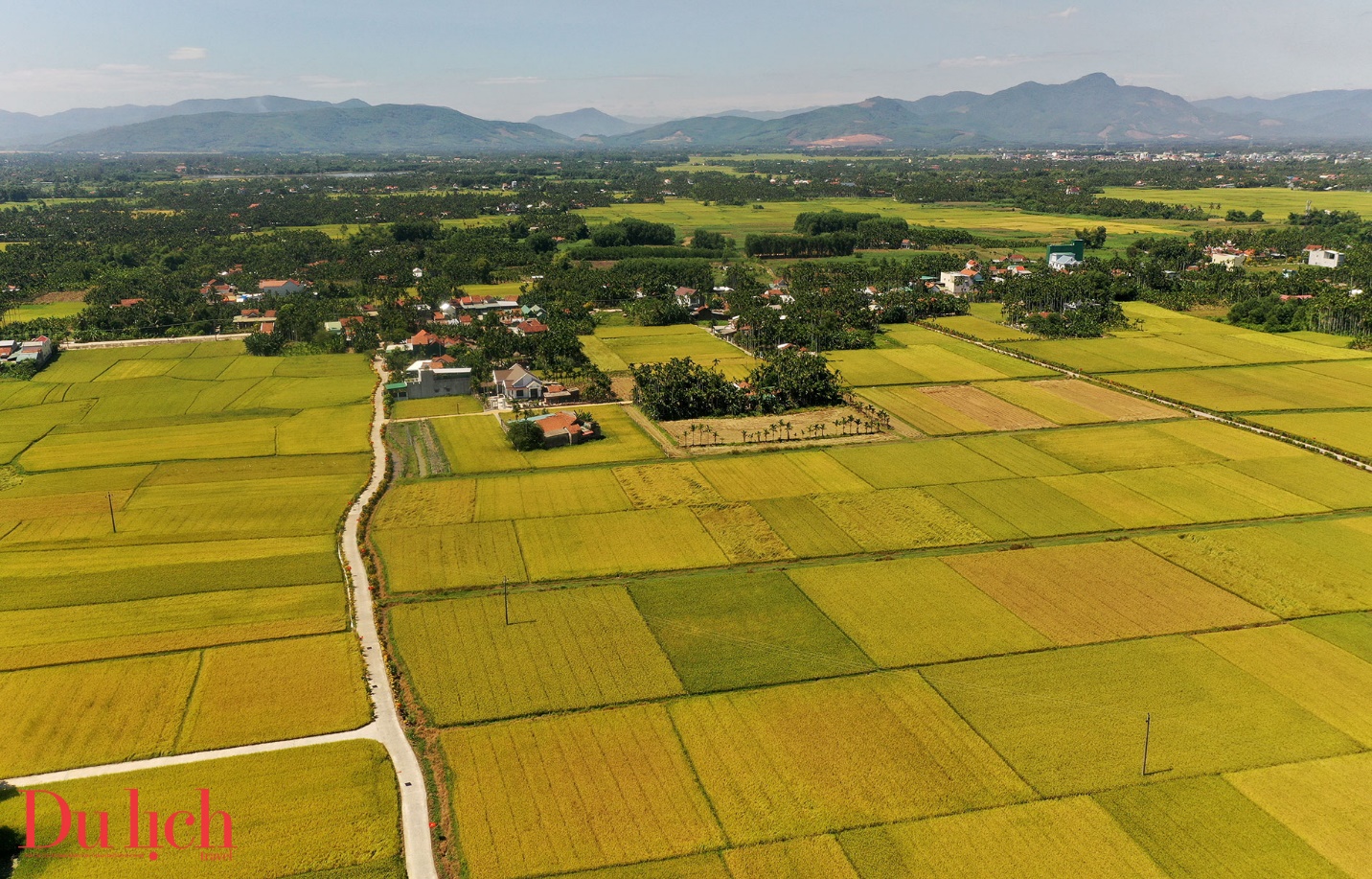 mua thu vang me hoac du khach tren canh dong lua chin mien trung - 9