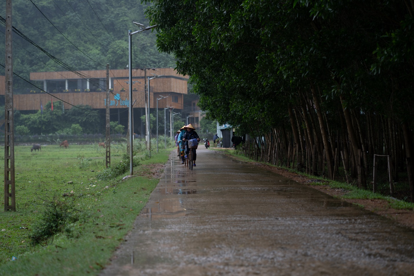 den quang binh mua mua - 6