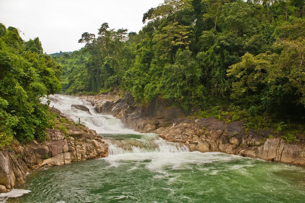 Yang Bay - lạc bước trong đại ngàn thênh thang - 1