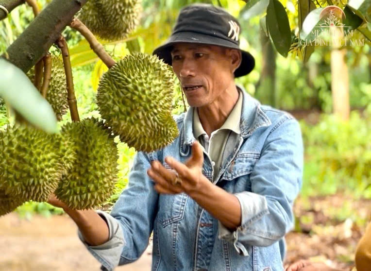 Làm giàu trên đất quê hương từ cây sầu riêng trăm tuổi: Thu nhập tiền tỷ, sắm ô tô - 3