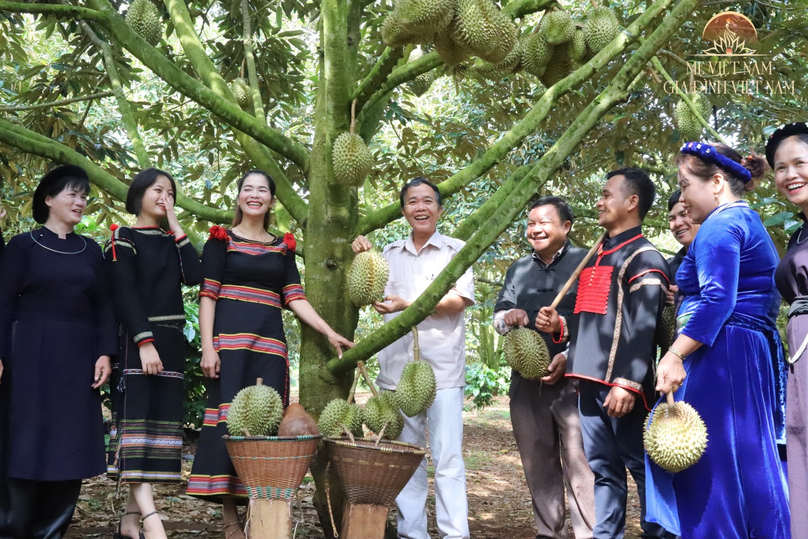 Làm giàu trên đất quê hương từ cây sầu riêng trăm tuổi: Thu nhập tiền tỷ, sắm ô tô - 7