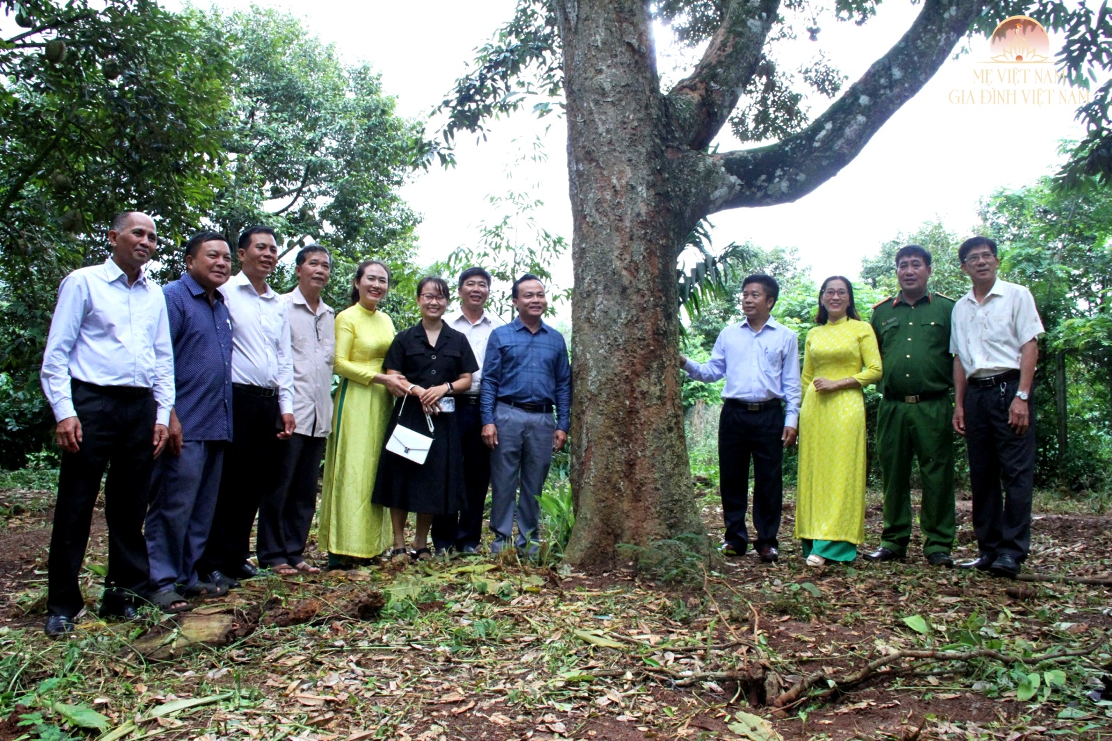 Làm giàu trên đất quê hương từ cây sầu riêng trăm tuổi: Thu nhập tiền tỷ, sắm ô tô - 10