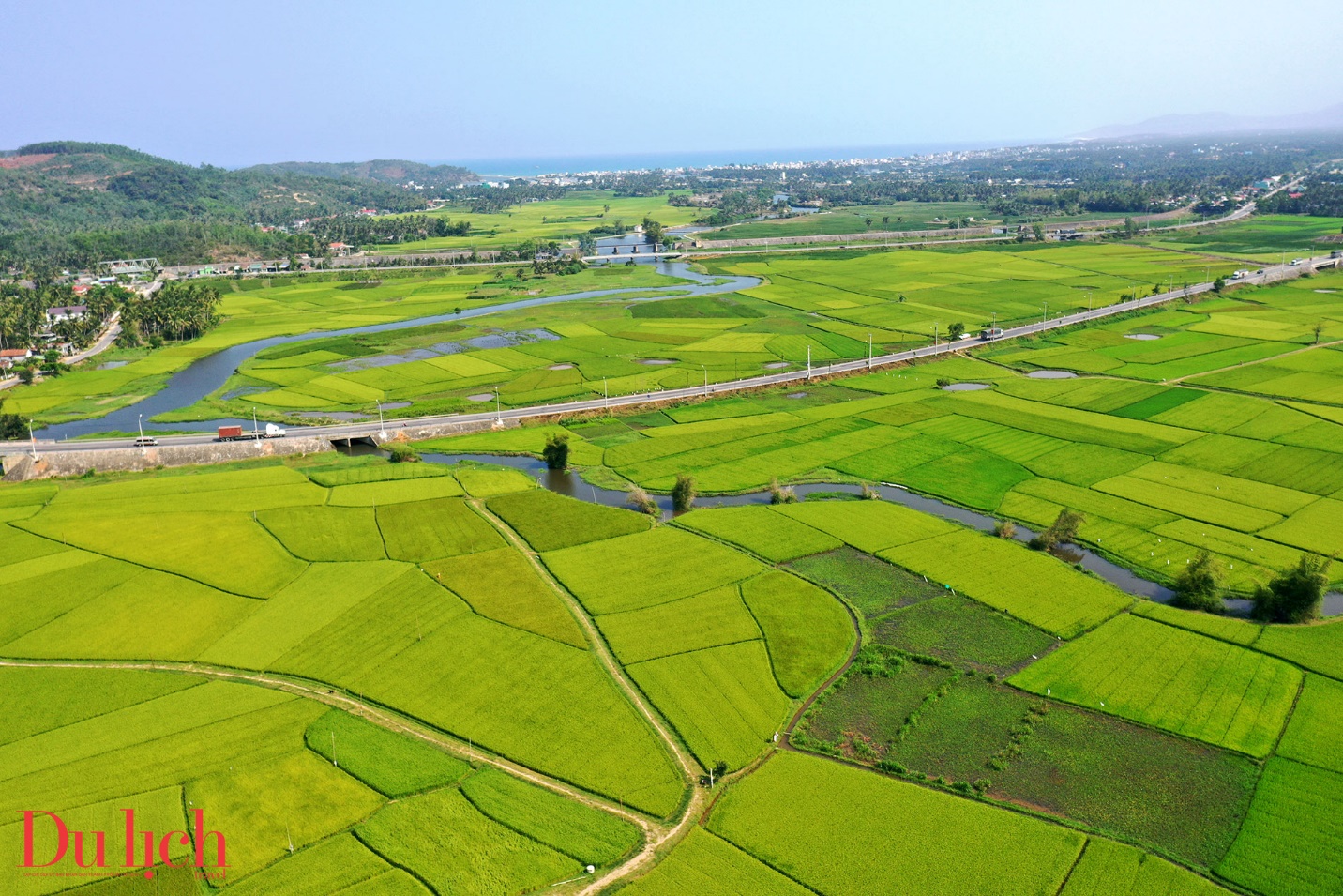 “thung lung dong lua’ dep nao long o thi xa hoai nhon - 1