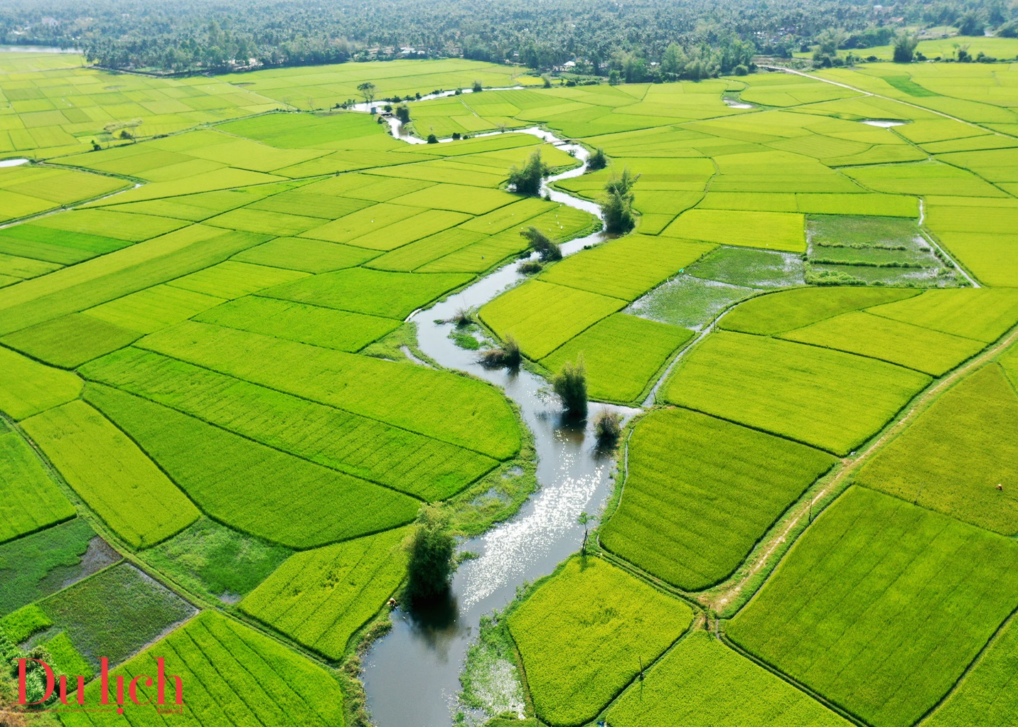 “thung lung dong lua’ dep nao long o thi xa hoai nhon - 3