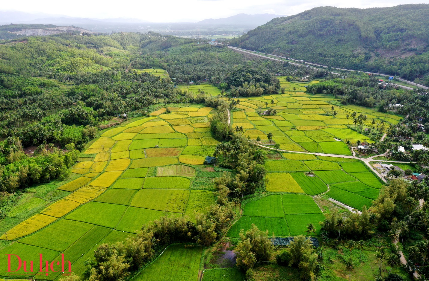 “thung lung dong lua’ dep nao long o thi xa hoai nhon - 7