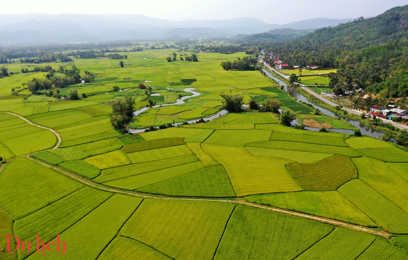 “thung lung dong lua’ dep nao long o thi xa hoai nhon - 4