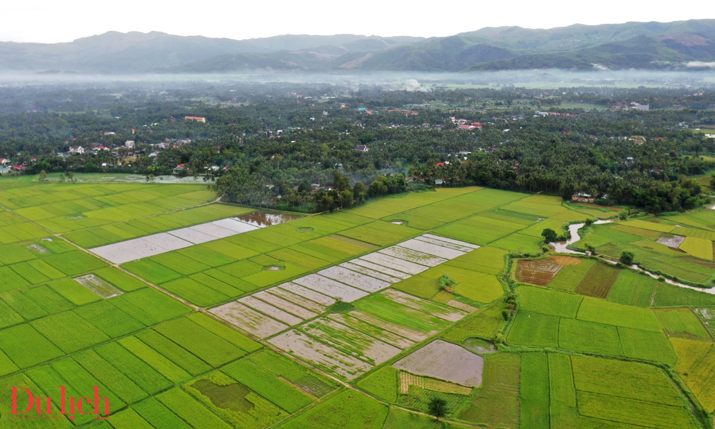 “thung lung dong lua’ dep nao long o thi xa hoai nhon - 2