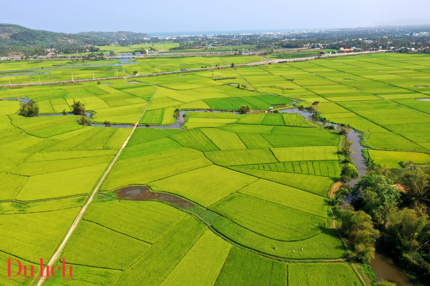 “thung lung dong lua’ dep nao long o thi xa hoai nhon - 6