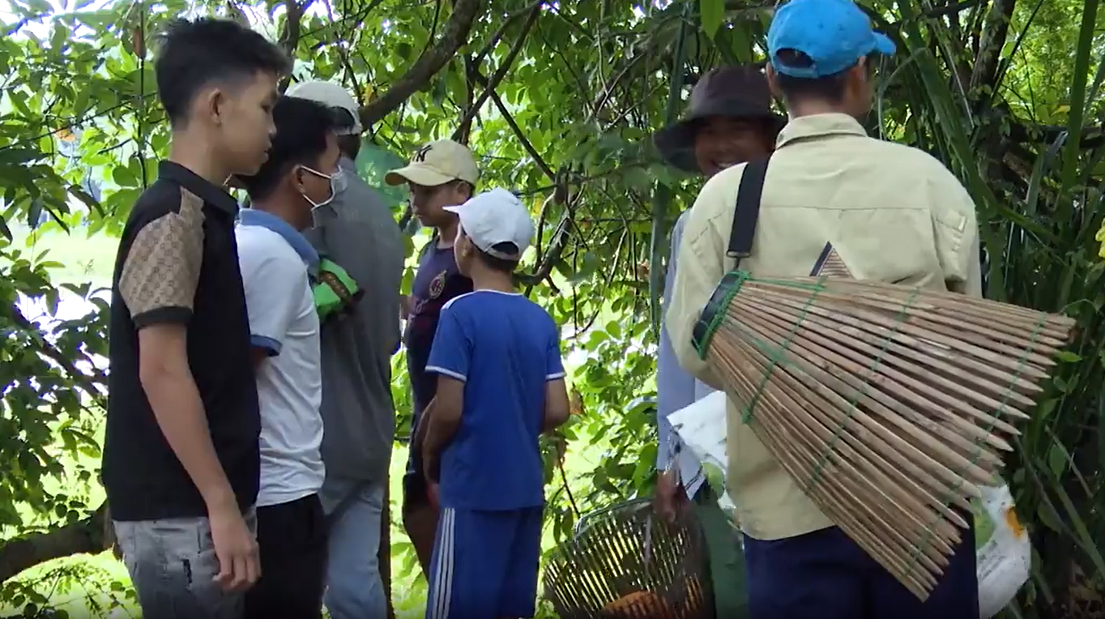 Ngày đầu nghỉ lễ, cả làng cùng du khách nhảy xuống đầm lầy chụp cá, tôm - 3