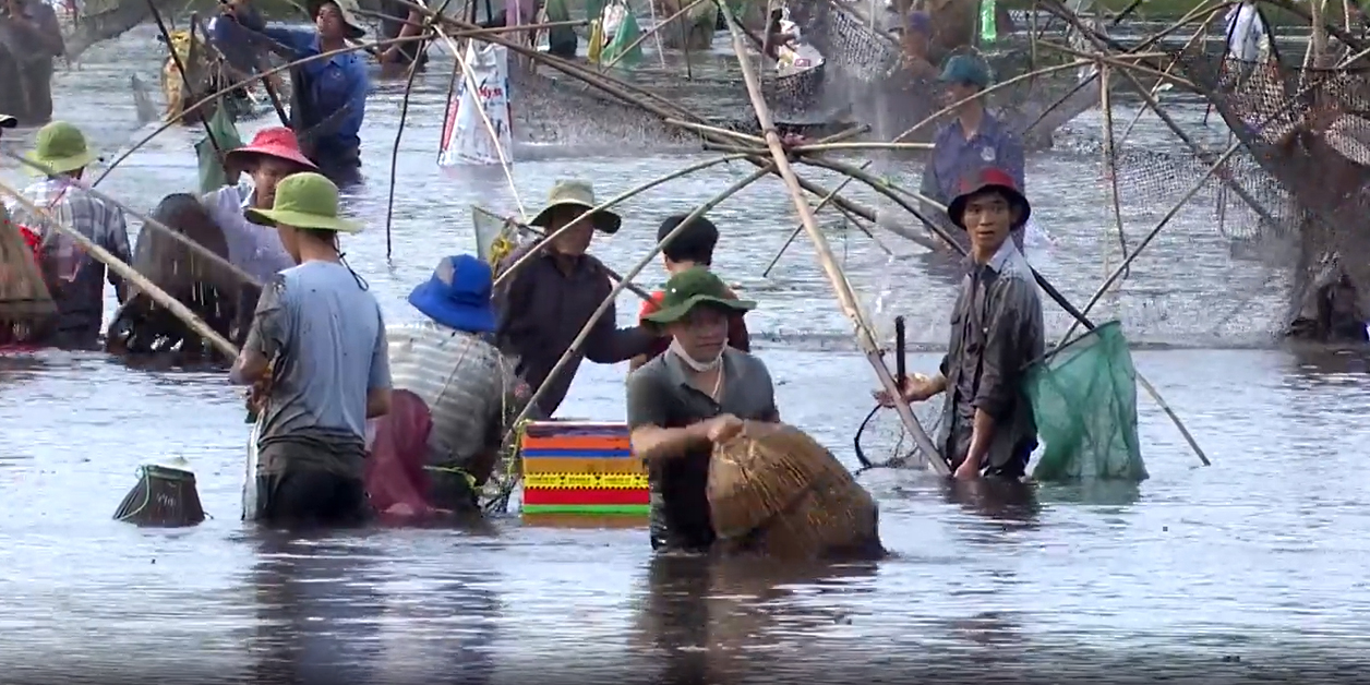 Ngày đầu nghỉ lễ, cả làng cùng du khách nhảy xuống đầm lầy chụp cá, tôm - 4