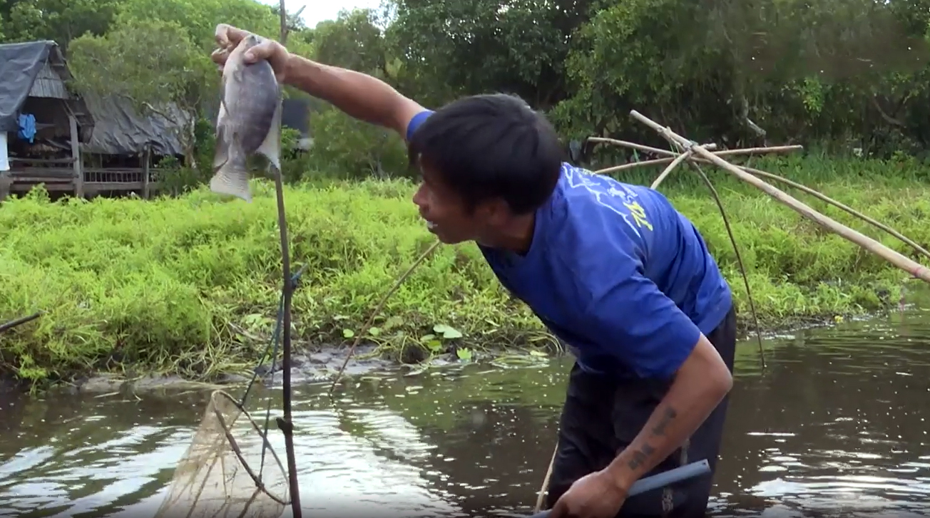 Ngày đầu nghỉ lễ, cả làng cùng du khách nhảy xuống đầm lầy chụp cá, tôm - 8