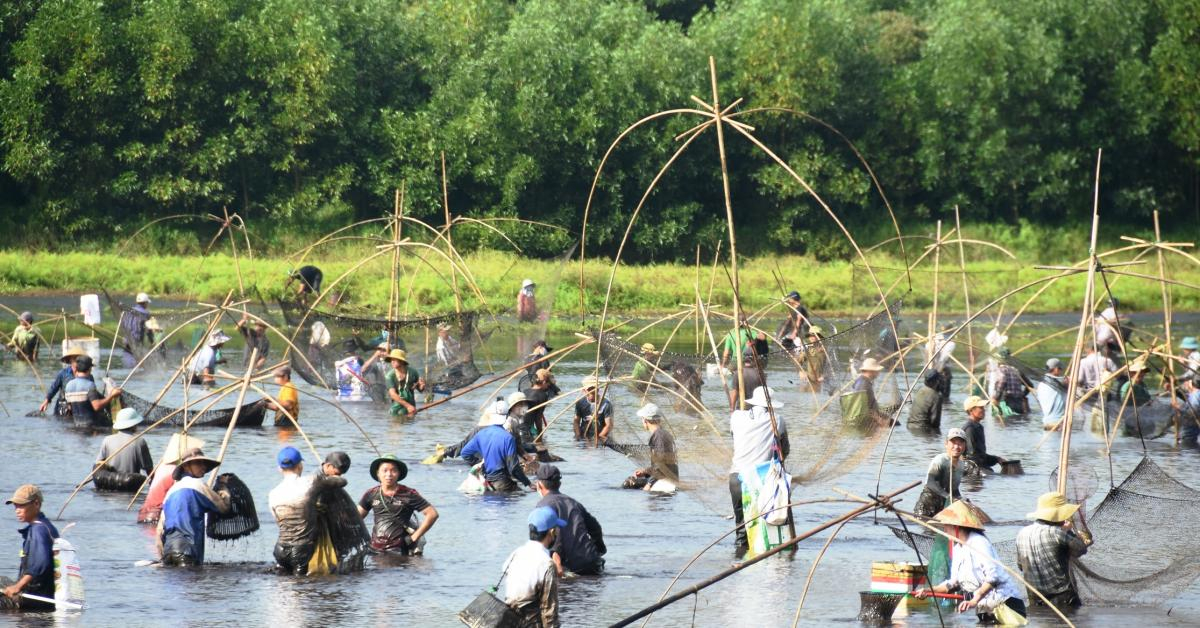 Ngày đầu nghỉ lễ, cả làng cùng du khách nhảy xuống đầm lầy chụp cá, tôm