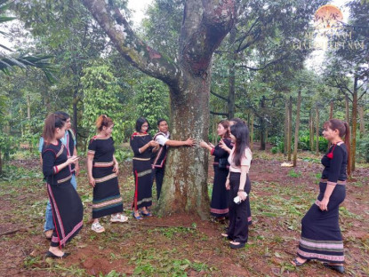 Chuyện hay - Làm giàu trên đất quê hương từ cây sầu riêng trăm tuổi: Thu nhập tiền tỷ, sắm ô tô