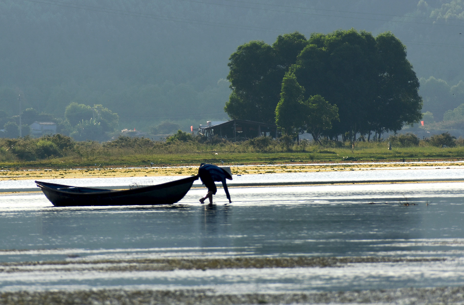 ‘tham reu khong lo’ tao nen buc tranh ky ao tren dam an khe - 9