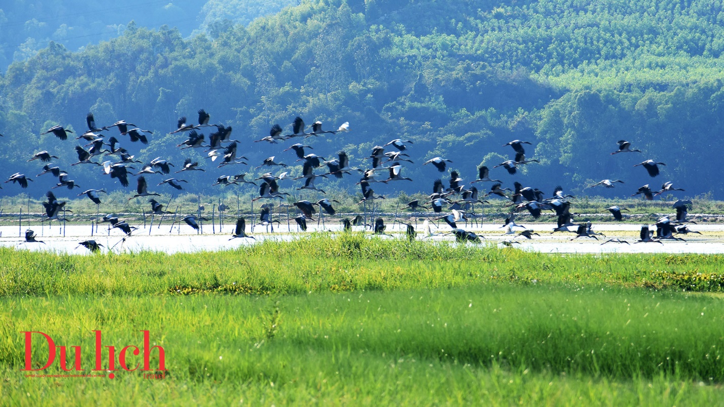 ‘tham reu khong lo’ tao nen buc tranh ky ao tren dam an khe - 6