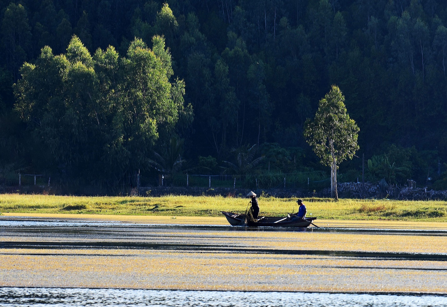 ‘tham reu khong lo’ tao nen buc tranh ky ao tren dam an khe - 3