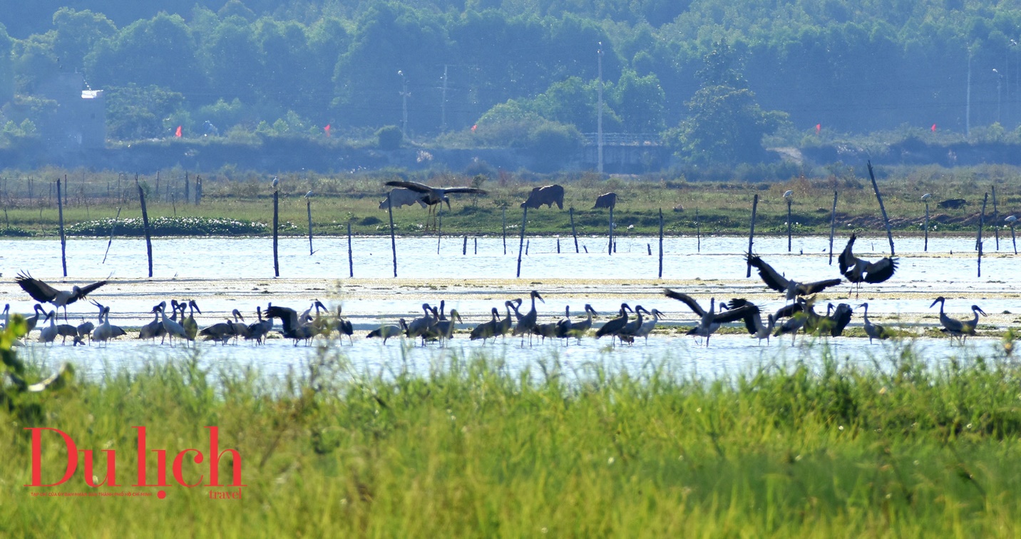 ‘tham reu khong lo’ tao nen buc tranh ky ao tren dam an khe - 5