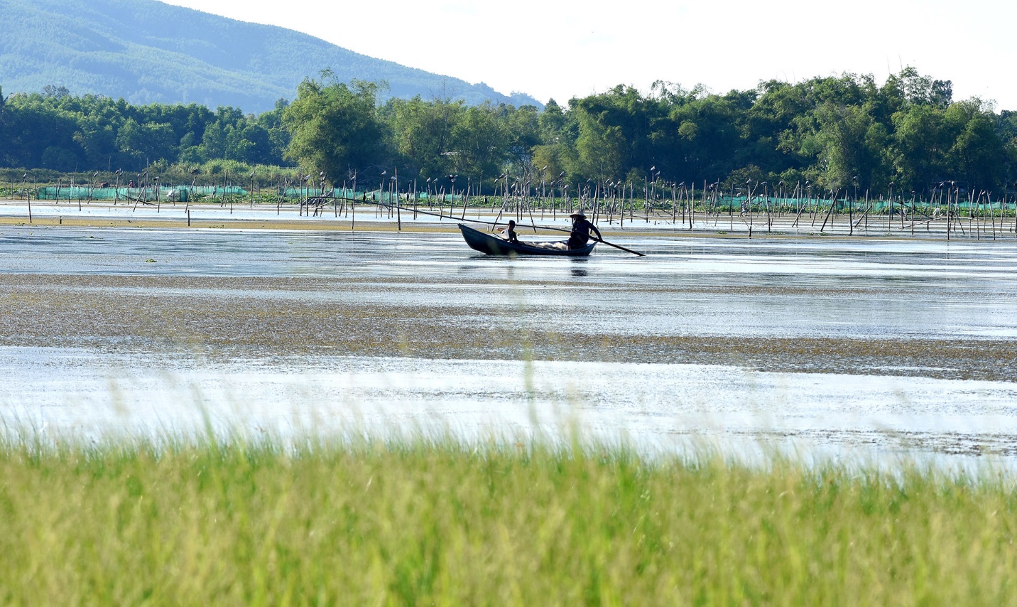 ‘tham reu khong lo’ tao nen buc tranh ky ao tren dam an khe - 10