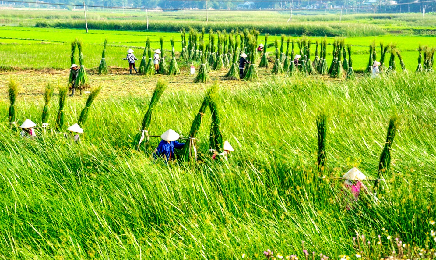 day manh quang ba du lich tu dien anh va the thao - 3