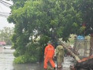 Bão số 3 gây mưa lớn, gió mạnh tại miền Bắc làm tốc mái nhà, bật gốc cây cối