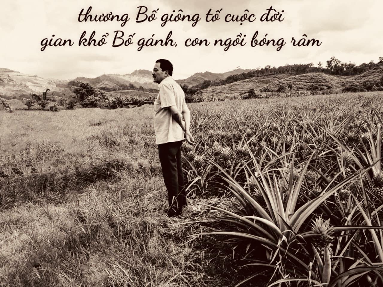 Rưng rưng nước mắt thư tiễn biệt của con gái ông chủ hãng xe Thành Bưởi - 1